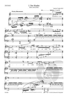 Ich will ein Reiter werden von Manfred Trojahn (Download) 