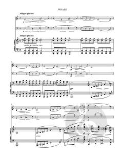 Trio op. 87 von Johannes Brahms (Download) 