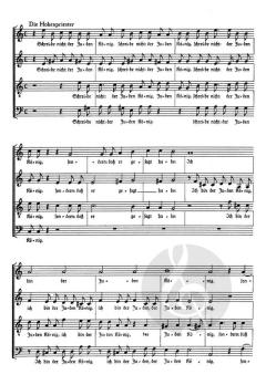 Johannes-Passion (Heinrich Schütz) 