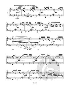 Drei Intermezzi op. 117 von Johannes Brahms (Download) 