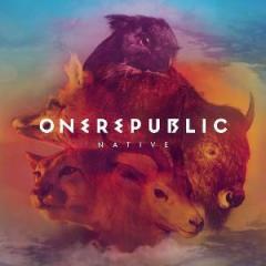 Burning Bridges von OneRepublic (Download) 