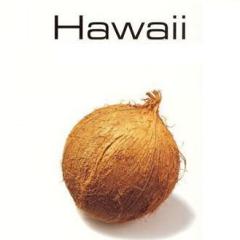 My Little Grass Shack In Kealakekua, Hawaii von Tommy Harrison (Download) 
