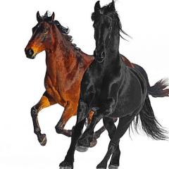 Old Town Road (Remix) von Atticus Ross (Download) 