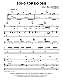 Song For No One von Shawn Mendes (Download) 