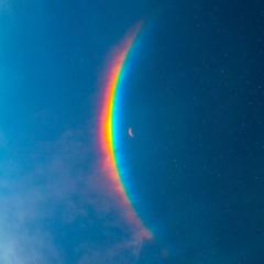 Moon Music (feat. Jon Hopkins) von Coldplay (Download) 