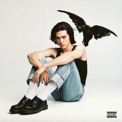 The Cut That Always Bleeds von Conan Gray (Download) 