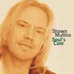Soul Child von Shawn Mullins (Download) 
