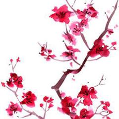 Sakura (Cherry Blossoms) von Japanese Folksong (Download) 