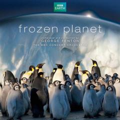 Frozen Planet, Antarctic Mystery von George Fenton (Download) 
