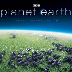 Planet Earth: The Disappearing Sea Ice von George Fenton (Download) 