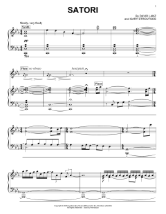 Satori von David Lanz (Download) 