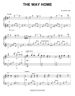 The Way Home von David Lanz (Download) 