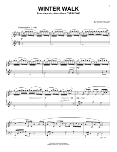 Winter Walk von David Nevue (Download) 