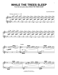 While The Trees Sleep von David Nevue (Download) 
