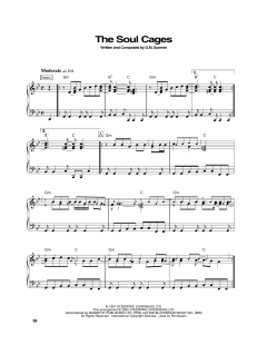 The Soul Cages von Sting (Download) 