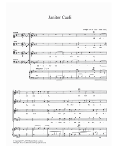 Janitor Caeli von Diego Ortiz (Download) 