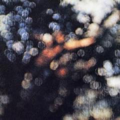 Wot's...Uh The Deal? von Pink Floyd (Download) 