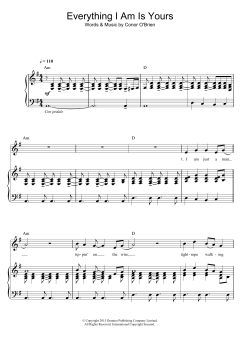 Everything I Am Is Yours von Villagers (Download) 
