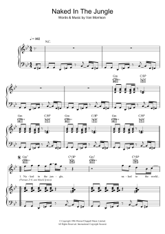 Naked In The Jungle von Van Morrison (Download) 