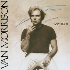 Take It Where You Find It von Van Morrison (Download) 
