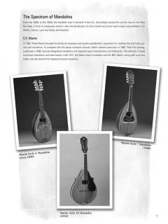 Mandolin Blues von Rich Delgrosso im Alle Noten Shop kaufen