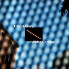 Sail Away von David Gray (Download) 