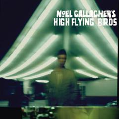 (Stranded On) The Wrong Beach von Noel Gallagher's High Flying Birds (Download) 