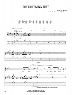 The Dreaming Tree von Dave Matthews Band (Download) 