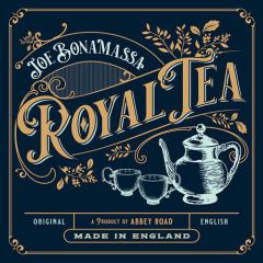 I Didn't Think She Would Do It von Joe Bonamassa (Download) 