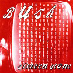 Bomb von Bush (Download) 