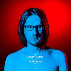 The Same Asylum As Before von Steven Wilson (Download) 