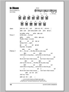 In Bloom von Nirvana (Download) 