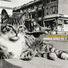 Remember The Mountain Bed von Woody Guthrie (Download) 