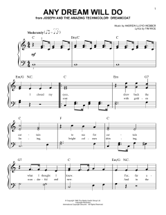Any Dream Will Do von Tim Rice (Download) 