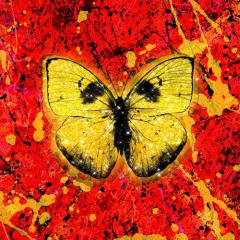 Visiting Hours von Ed Sheeran (Download) 