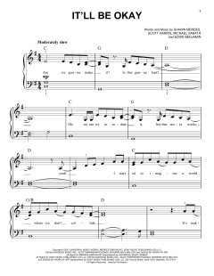It'll Be Okay von Shawn Mendes (Download) 
