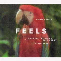 Feels (feat. Pharrell Williams, Katy Perry & Big Sean) von Calvin Harris (Download) 