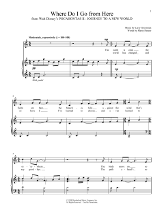 Where Do I Go From Here von Larry Grossman (Download) 