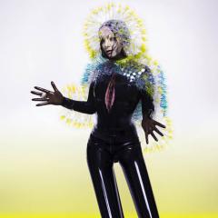 Stonemilker von Björk (Download) 
