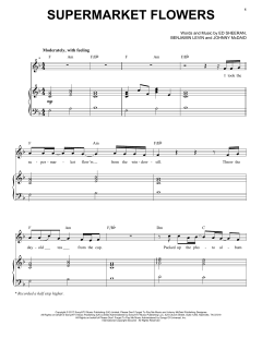 Supermarket Flowers von Ed Sheeran (Download) 