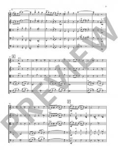 Ragtimes for String Ensemble von Leslie Searle 
