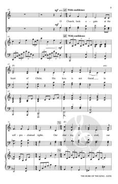 The Robe of the King von Heather Sorenson (Download) 