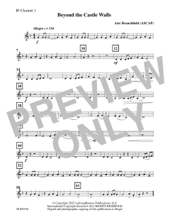 Beyond the Castle Walls von Aric Branchfield (Download) 