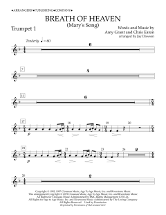 Breath of Heaven (Mary's Song) von Amy Grant (Download) 