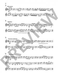 Vom-Blatt-Spiel auf der Geige Band 2 von John Kember 