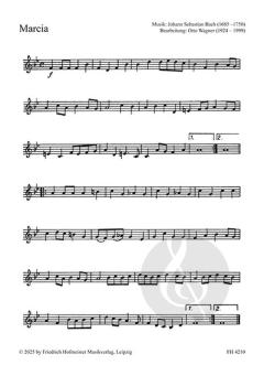 Musik zu Fest und Feier 