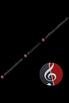 Teaching Music Each Day Inspired von Peter Loel Boonshaft 