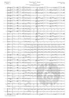 Fürst Karol Marsch op. 195 von Carl Michael Ziehrer 