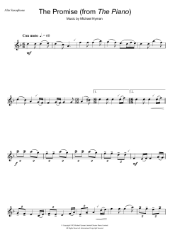 The Promise von Michael Nyman (Download) 