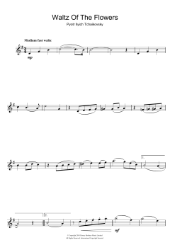 Waltz Of The Flowers von Peter Iljitsch Tschaikowsky (Download) 
